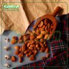 بادوم درختی ایرانی